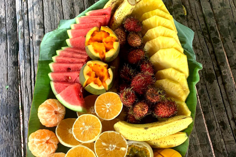 Panama Stad: Bezoek onze Emberá inheemse cultuur, jungle en watervallen