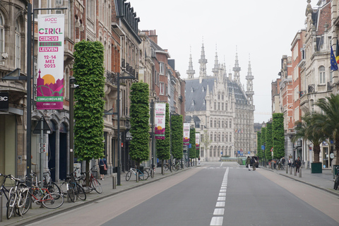 Leuven Private Walking Tour