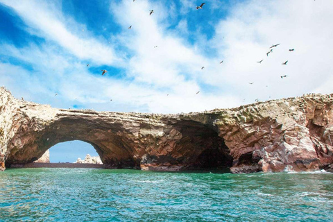 Desde Lima:Excursión de un día a las Islas Ballestas-Oasis de Huacachina