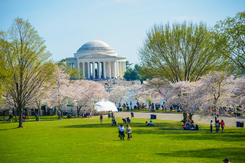 Best of DC: Panoramic City Tour & Sunset Tour Combo 2-Hour Sunset Tour