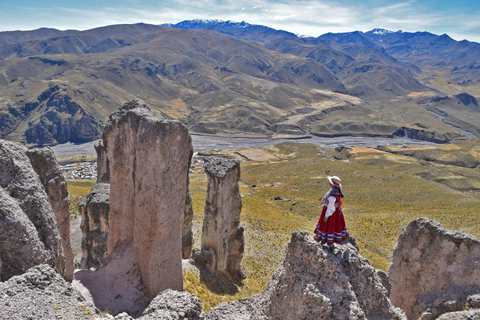 Från Arequipa: Tur till Colca Canyon + Transfer till CuscoColca Canyon-tur i Arequipa med avslutning i Cusco