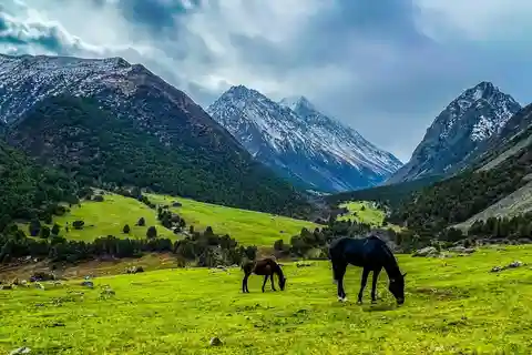 Fra Bishkek: Tur til Alammedinsky-kløften og Teke-Tor-vandfaldet