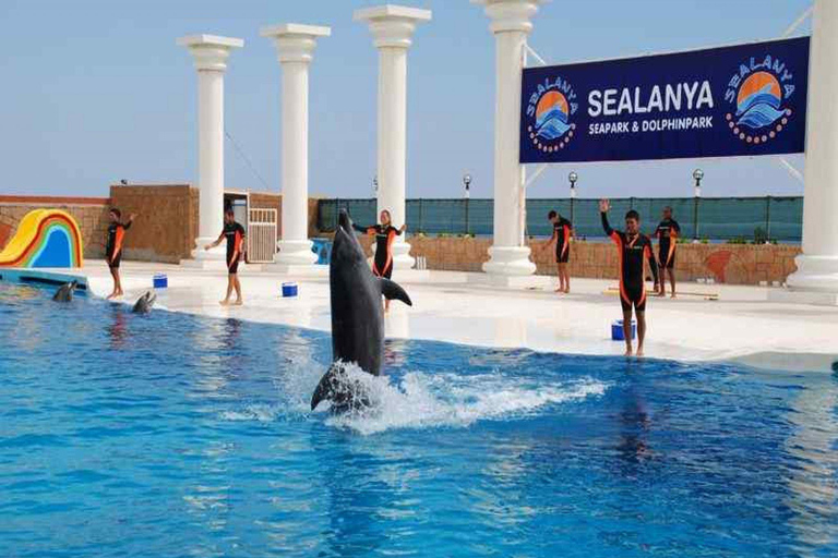 Alanya: Pokaz delfinów i lwów morskich w Sealanya Dolphin Park