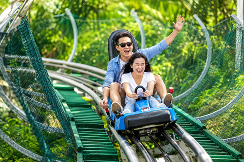 Da Lat: Coffee Plantation & Datanla Alpine Coaster Tour