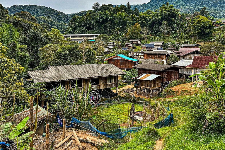 Chiang Mai : les points forts du parc national de Doi Inthanon