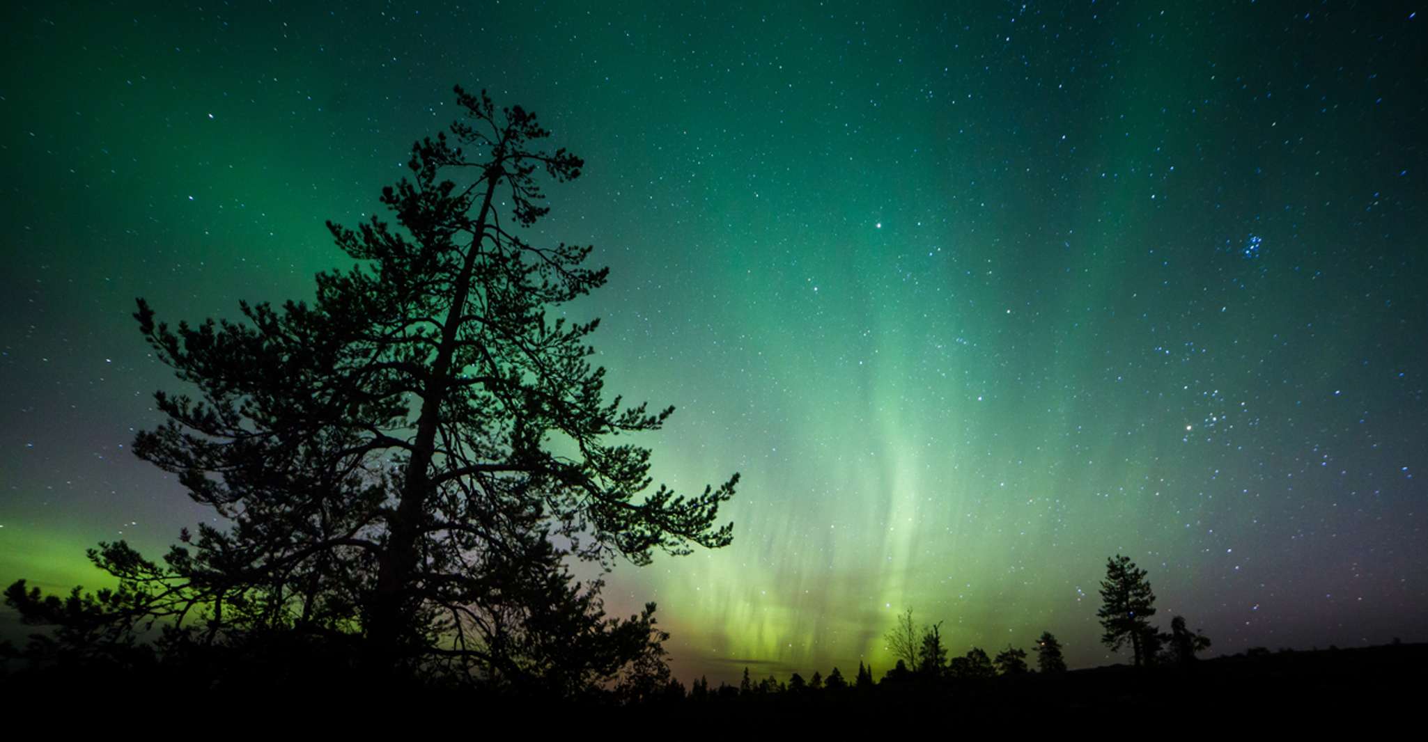 Aurora Borealis Quest, Private Yukon Nighttime Tour - Housity