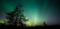 Aurora Borealis Quest, Private Yukon Nighttime Tour - Housity