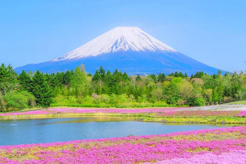 De Tóquio: Viagem de 1 dia ao Monte Fuji, Oshino Hakkai e Onsen