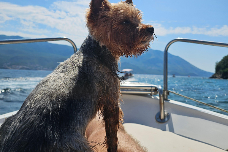 4-Hour Private Boat Tour — Blue Lagoon, Caves & Sveti Stefan