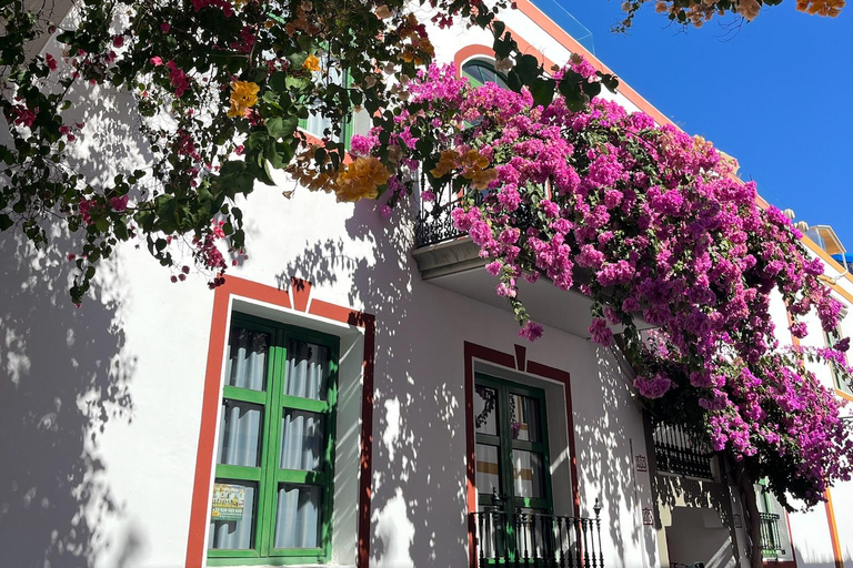 Essentials of the south of Gran Canaria Guided bus tour with pick-up from Las Palmas