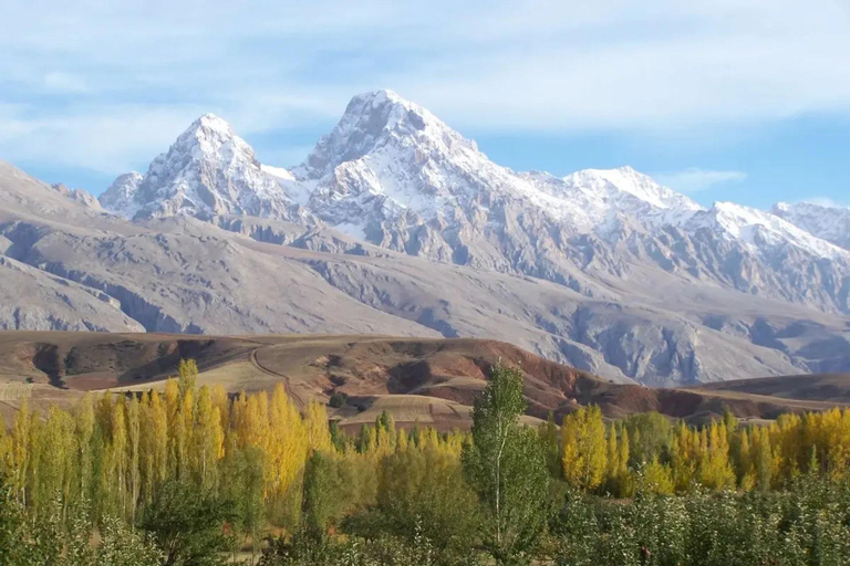 Side: Professional Quad & Buggy Safari with Family Options Solo Driver Quad Safari