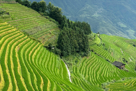 From Guilin/Yangshuo: Longji Rice Terraces Private Tour From Guilin: Longji Rice Terraces Private Tour