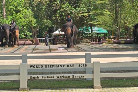 Kuala Gandah & Batu Caves: Private Day Trip