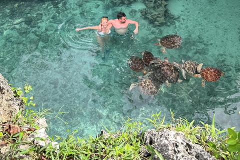 Zanzibar:Swimming with turtles in salaam cave