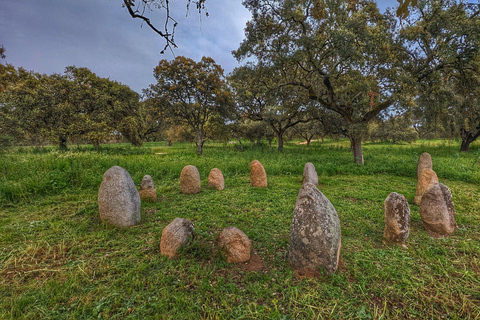 Évora: Cork Factory and Cork Farm Lunch included