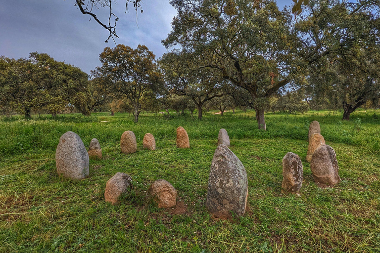 Évora: Cork Factory and Cork Farm Lunch included