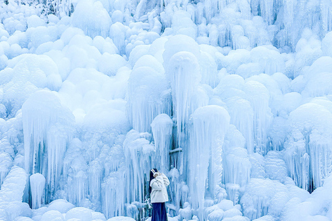 Busan: Winter Healing Park and (Gyeongju/Daegu) One Day Tour Healing Park + GYEONGJU Winter: Meet at KTX Busan Station