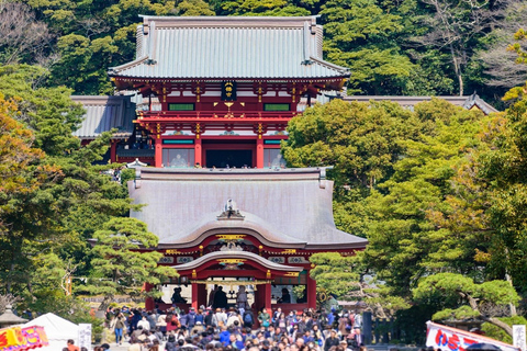 From Tokyo : Kamakura & Enoshima Island Private Day Trip
