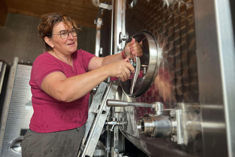 Dare to Alsace Wine with a Feminine Touch