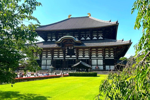 Osaka & Kobe: Private Shore Excursion with Ship Return