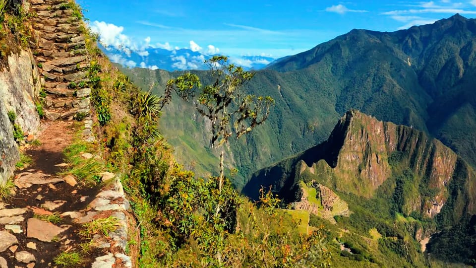 Galería de fotos para redes
