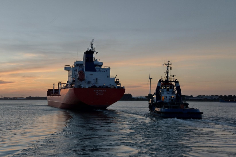 Rotterdam: Summer Evening Cruise with Live Entertainment Rotterdam: Summer Evening Cruise with live Music