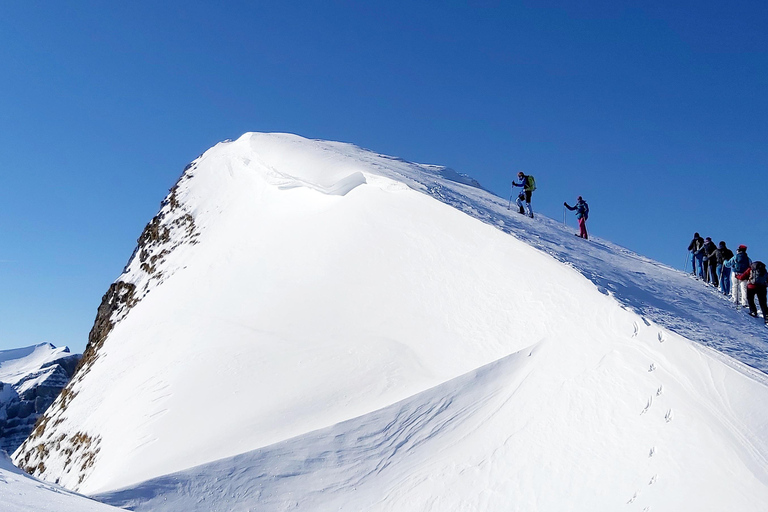 Snowshoe tour Ifen/Gottesacker Allgäu Kleinwalsertal