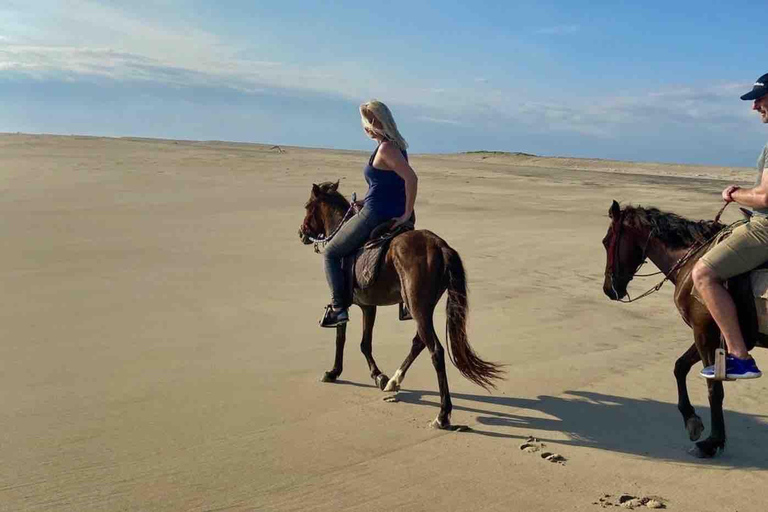 From Huatulco: Beach Horseback Riding Experience Regular Beach Horseback Riding Tour (2 hours)