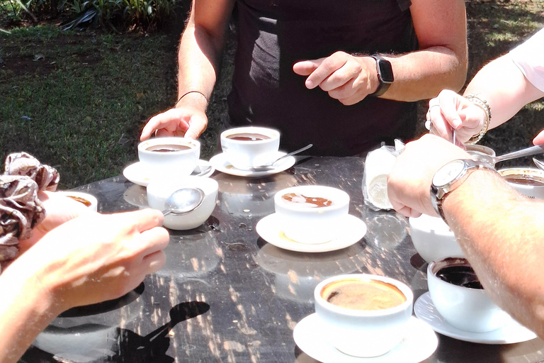 TOUR GIORNALIERO DELLA FATTORIA DEL CAFFÈ FAIRVIEW