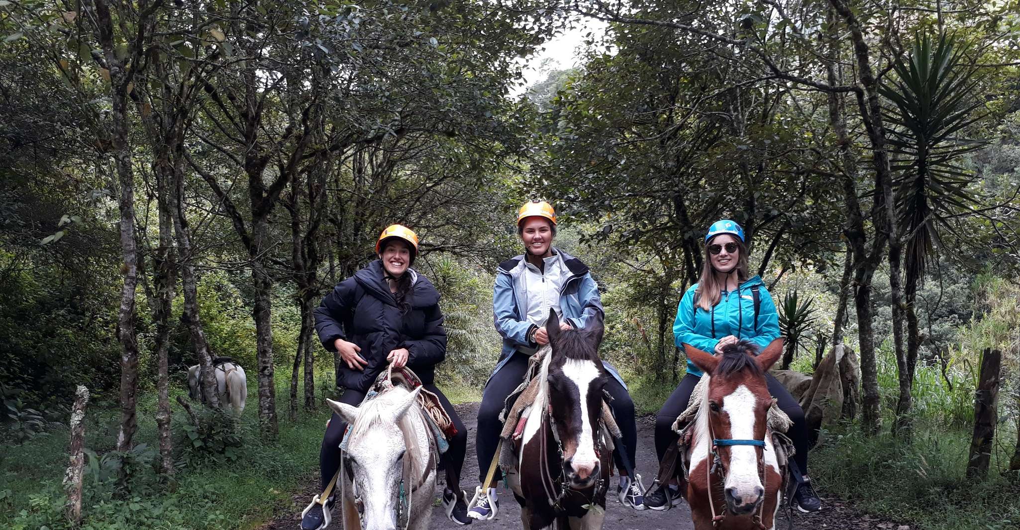 Baños, 5 uur paardrijden met tungurahua uitzicht - Housity