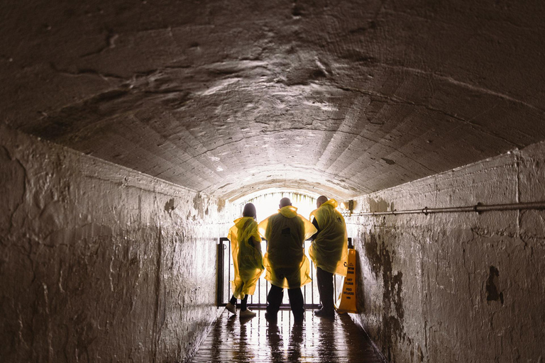 Niagara Falls: Skylon Tower & Journey Behind the Falls Tour