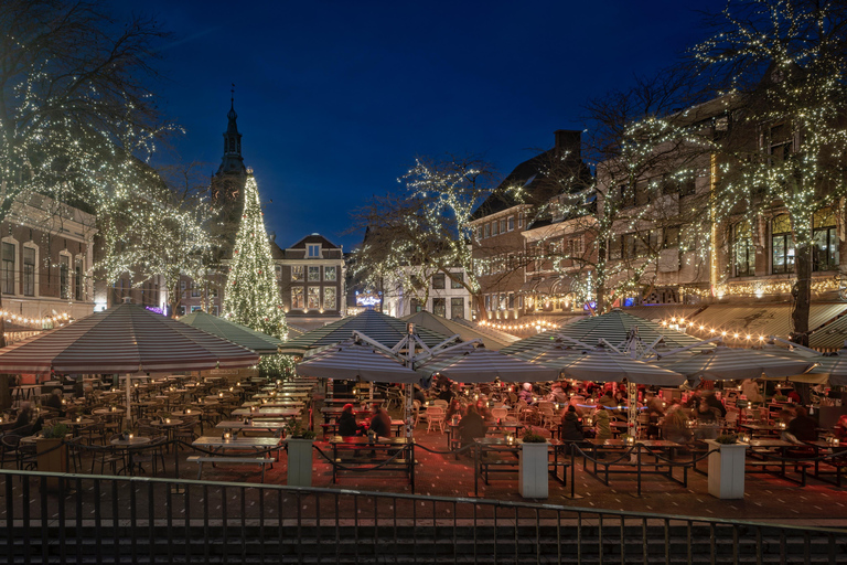 Private Winter Tour of The Hague