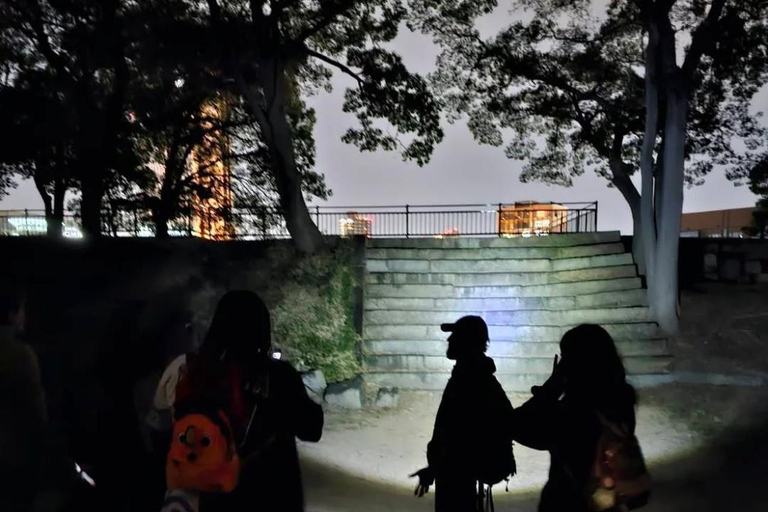 Osaka: Osaka Castle Haunted Night Walk