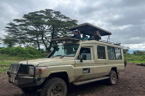 3 Días 2Noches Safari Conjunto Serengeti y cráter del Ngorongoro