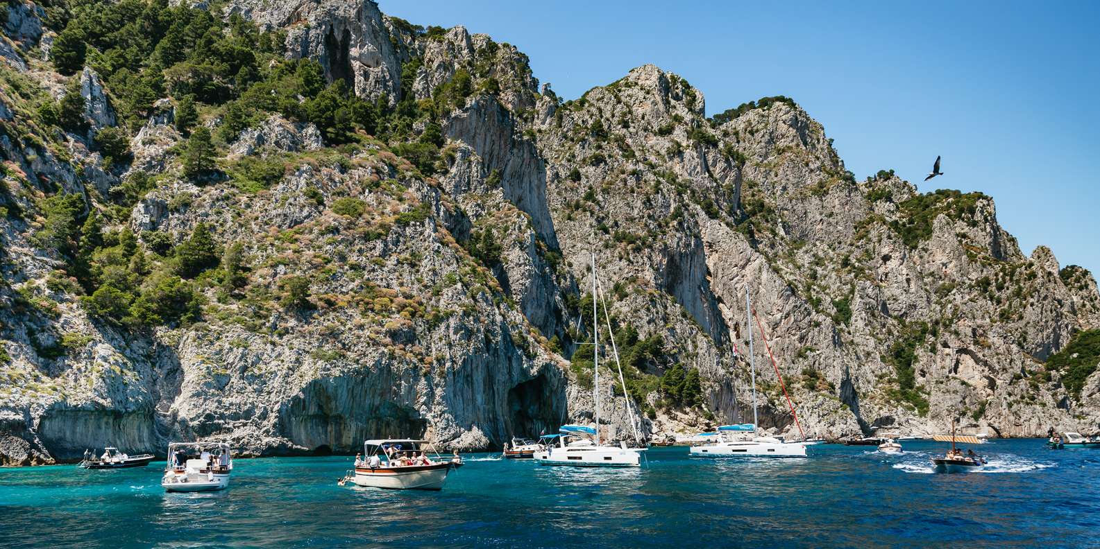 From Sorrento: Capri Boat Tour with Blue Grotto Optional — gallery image 21