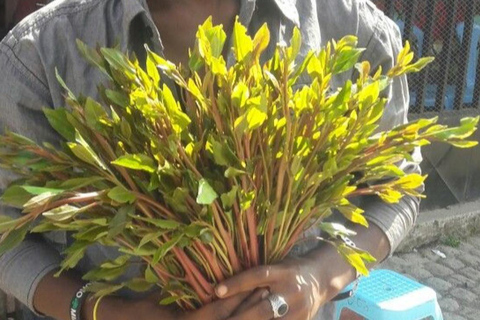 Addis Ababa: Khat, Coffee, and Gari Ride Tour with Guide