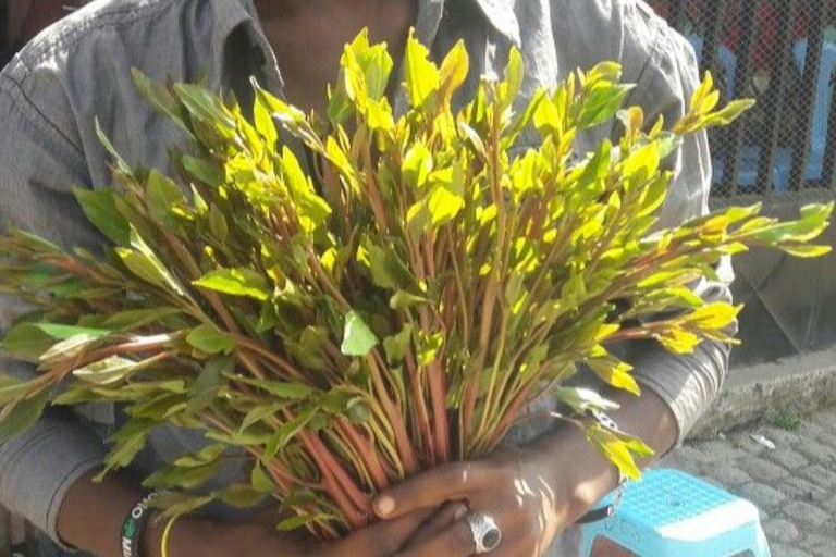 Addis Ababa: Khat, Coffee, and Gari Ride Tour with Guide