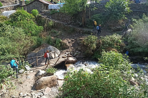 Kathmandu: 9-Day Langtang Gosaikunda Trek with Transfers 9DayLangTangGosain