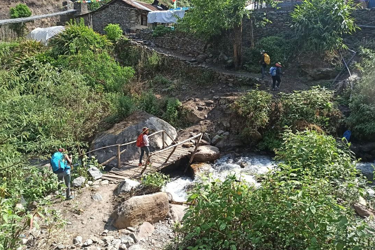 Kathmandu: 9-Day Langtang Gosaikunda Trek with Transfers 9DayLangTangGosain