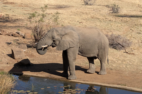 From Maputo: Kruger Safari and Island Escape 4-Day Tour