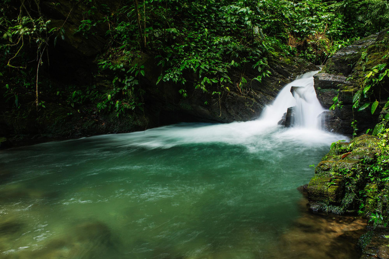 From São Paulo: Oyster Trail and My God Waterfall