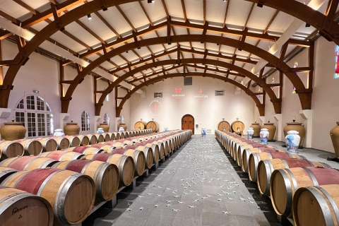 Ab Bordaux: Erkundungstour durch 2 berühmte Weinregionen