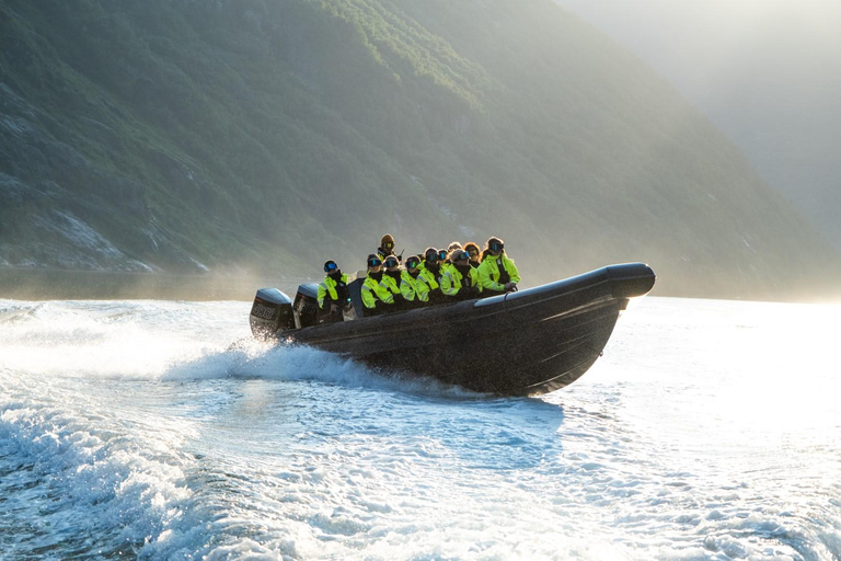 From Hellesylt: Experience Fjordsafari Geirangerfjord on RIB