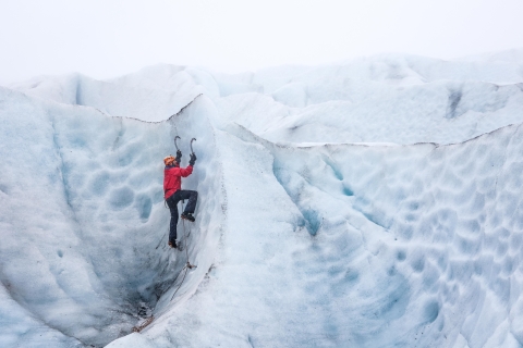 Z Reykjaviku: Wycieczka po południowym wybrzeżu i wspinaczka lodowa ze zdjęciamiZ Reykjavíku: wycieczka po południowym wybrzeżu i wędrówka po lodowcu ze zdjęciami