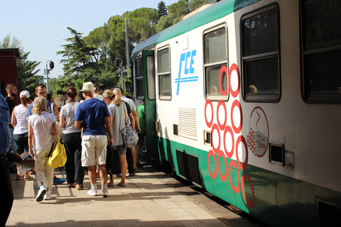 Piedimonte Etneo: Tour del Treno del Vino dell'Etna e degustazione di vini siciliani