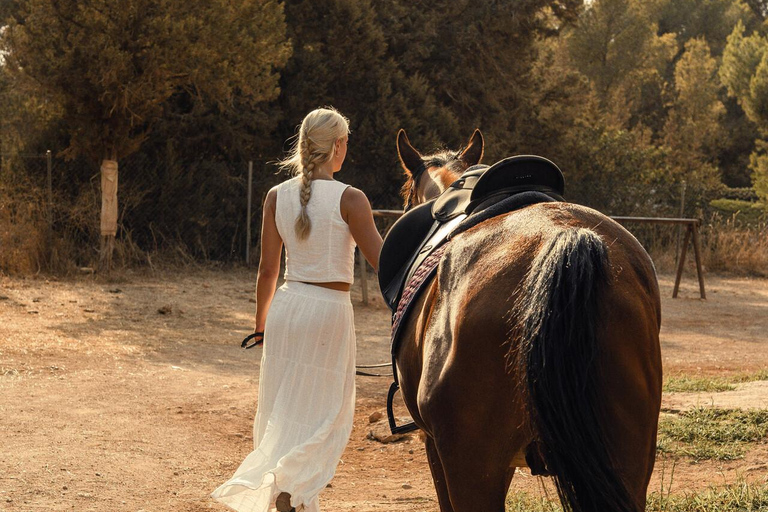 Albufeira: Horseback Ride with Tapas and Wine