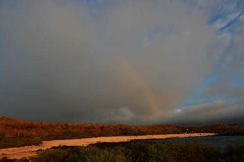 3-Day Galapagos Trip for Traveler Without Much Time