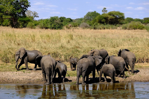 4-Day Tanzania Safari: Tarangire, Ngorongoro With Pickup