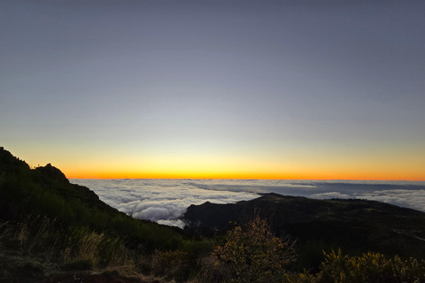 Madeira: Comfortable private tour with views and local guide (up to 4 people)