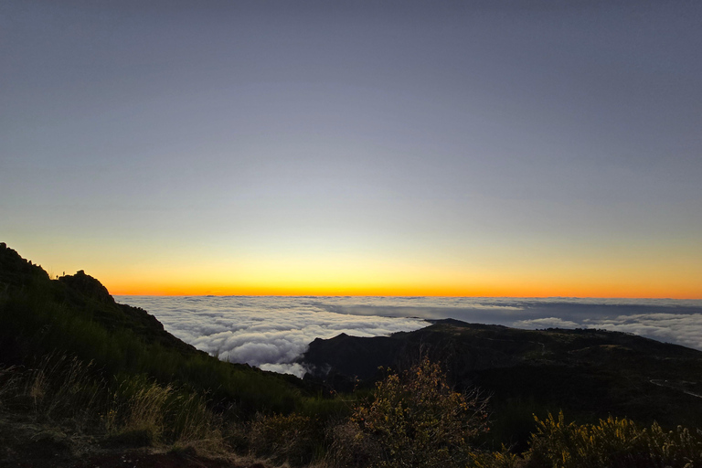 Madeira: Comfortable private tour with views and local guide (up to 4 people)